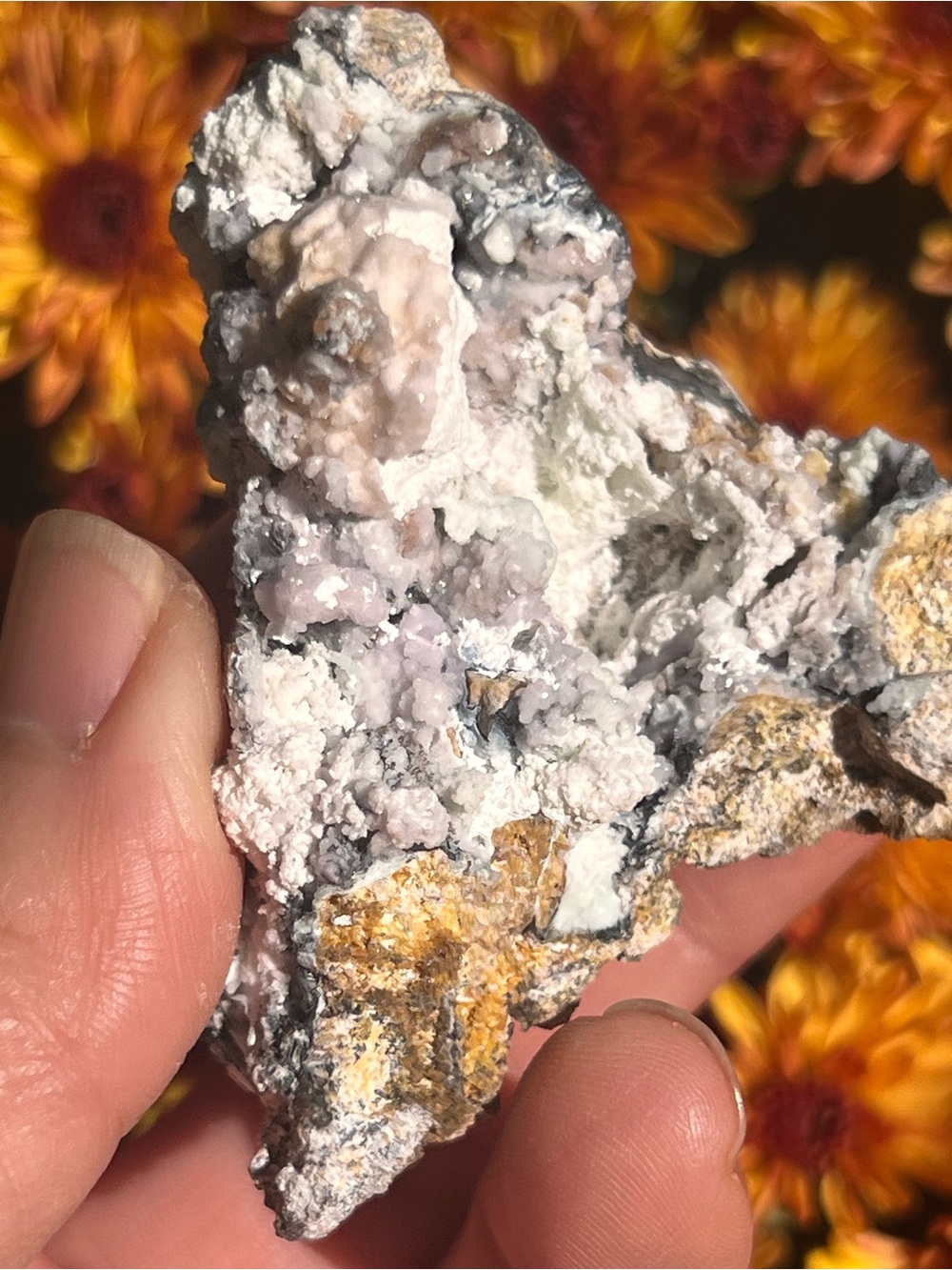 Aragonite chalcedony in goethite specimen with stand | Crystal